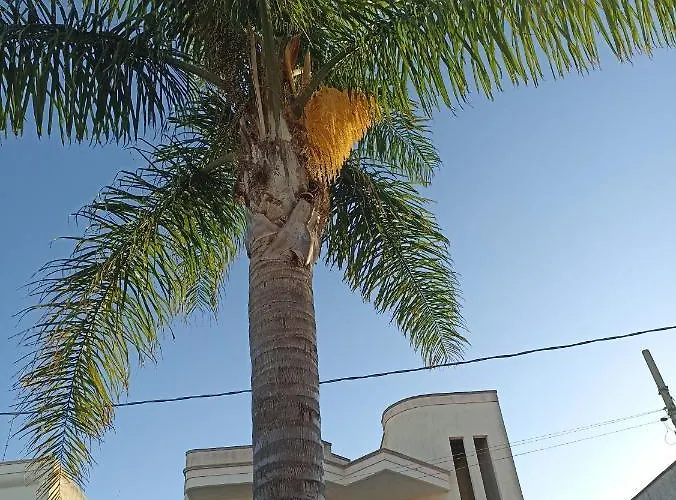 Casa vacanze Confalonieri